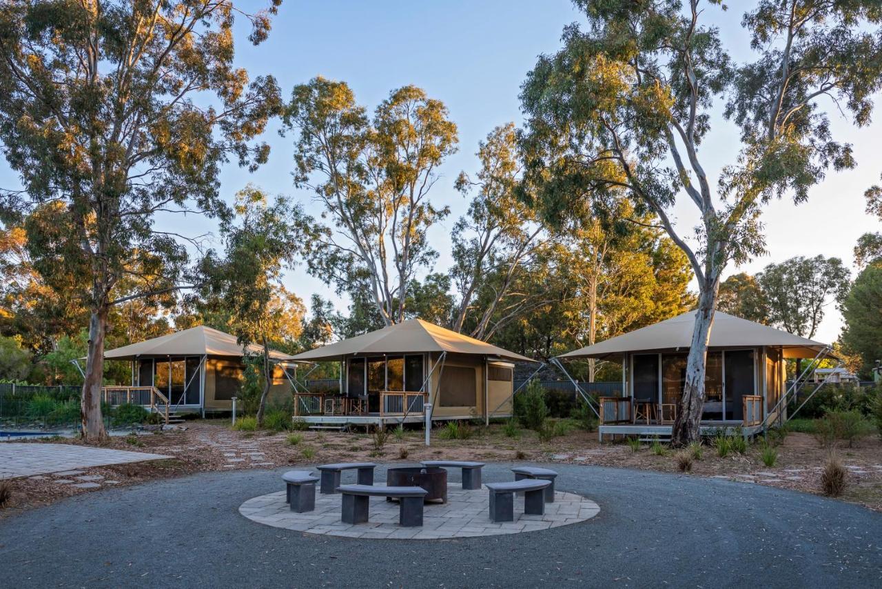 Discovery Parks - Barossa Valley Tanunda Dış mekan fotoğraf